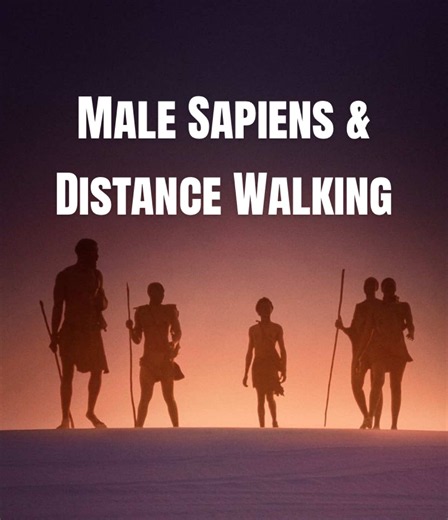 Humans have sexual dimorphism with the pelvis… but is that unique to our species or applicable to ancient humans too? A new study weighs in. #evolution #neanderthal #anatomy #biology #learnontiktok
