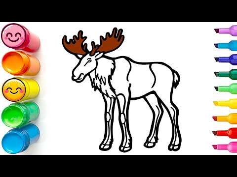 Drawing and Coloring a Big Moose | Easy Step by Step Drawing Tutorial for Beginners