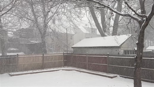 Snow is coming down steadily in Johnston! ❄️ Take a look at the conditions in this video from a 12 News crew member. What’s it like where you are? | WPRI 12