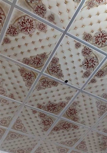 2 2 PVC Ceiling & Aluminum Window/Door Designs