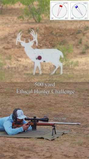 6mm BR 500 yards hunting