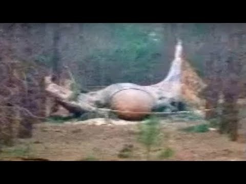 Massive UFO Disaster Cover-Up Exposed? 👽