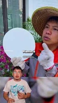 Des techniques simples pour faire pousser presque n’importe quelle plante