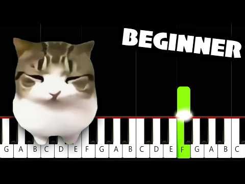 Dam Dam Diri Diri - BEGINNER Piano Tutorial
