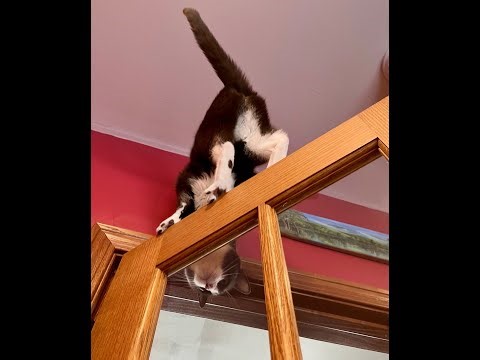 Episode 3059 CWSA 01/01/26