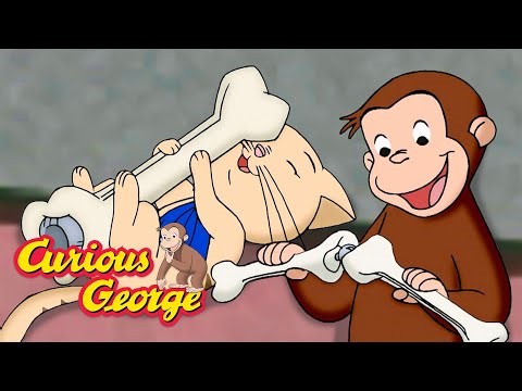 Dinosaur Bones Aren't for Playing With! 🐵 Curious George 🐵 Kids Cartoon 🐵 Kids Movies