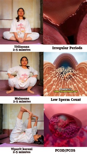 PCOD/PCOS to Pregnancy: 3 Yoga To Fix PCOD/PCOS, Irregular Periods & Low Sperm Count & Motility