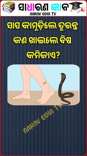 Top 20 GK Question 🤔💥|| GK Question ✍️|| GK Question and Answer #gk Part- 643 @AARAVODIATV