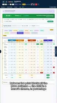 RaceMetrics — Market Movers: spotting price movement on a racecard
