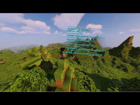 Minecraft java 1.21.11 Command blocks - Leveling system