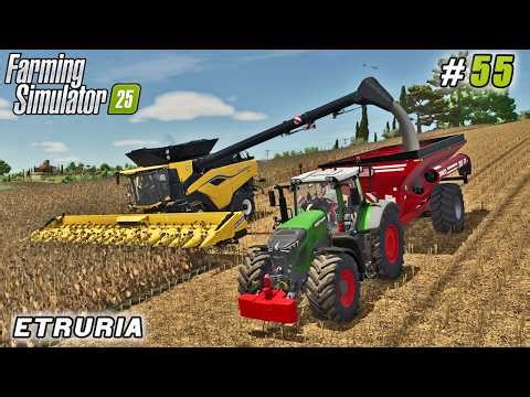 The Farm Never Stops — Time for Sunflower Harvest | Farming simulator 25 | Etruria | Timelapse #55