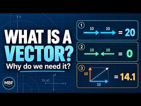 What Is a Vector? | Why Vectors Exist