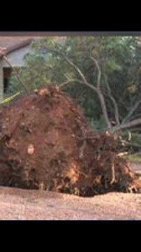 Heber-Overgaard residents begin cleanup as officials investigate suspected tornado