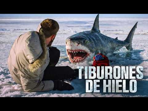 Tiburones de Hielo | Película Completa de Acción en Español