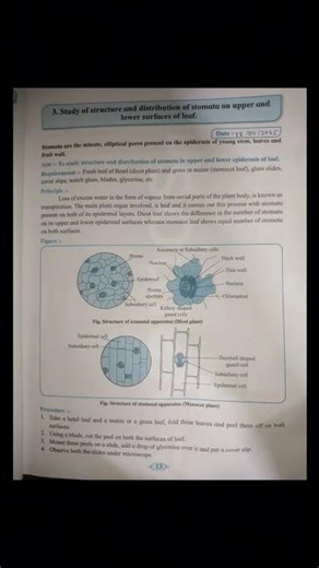 Biology class 12 practical book all answers of experiment 1 to 5 #fypシ #students #class12biology