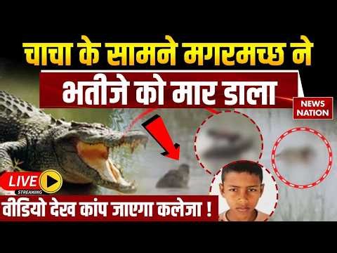 Bahraich Crocodile Attack Video Live: बहराइच में चाचा के सामने मगरमच्छ ने भतीजे को मार डाला LIVE