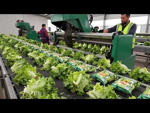 50 Realistic Business Ideas for 2026 | No Hype, Just Results