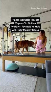 15-Year-Old Golden Retriever Tries ‘Pawlates’ to Help with Mobility