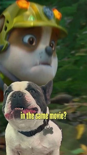PAW Patrol: The Dino Movie | Puppy Trailer Reaction | Paramount Pictures UK