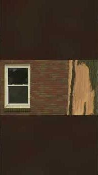 Lighting strikes tree damaging Davenport house