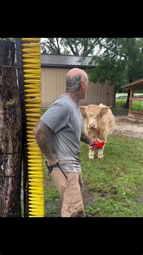 How to Show a Cow an Example — Motivation & Life Lessons