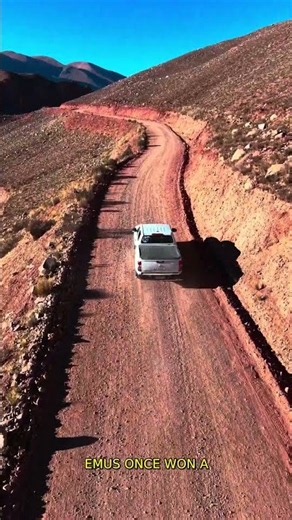 Why Australia Is One of the World's Best Destinations!