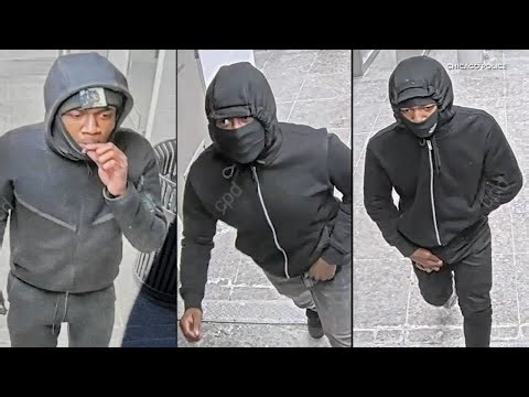 Chicago police release images of suspects in armed robbery on CTA Blue Line train