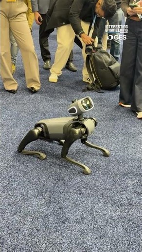 This Robot Acts Just Like A Real Dog