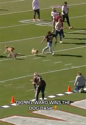 Congrats Dig-zel🤝🤝 Tune in to #BALvsCLE on FOX #browns #dogdash #winner #competition