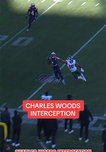 Charles Woodson's Incredible Interception vs. Patriots | NFL Highlights