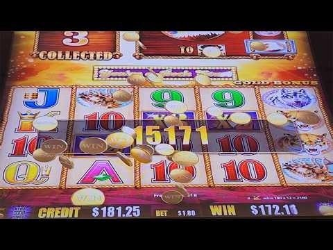 39 Free Games GREAT BONUS WIN On Buffalo Gold Slot Machine - SunFlower Slots