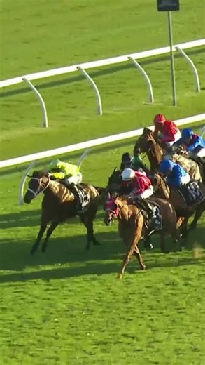 Cross Tasman (Nz) wins the Hkjc World Pool Handicap