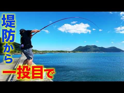 【離島生活#84】今年初の超高級魚がいきなり食い付いた！！