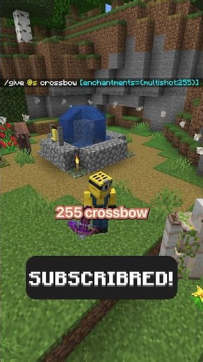 insane minecraft commands...