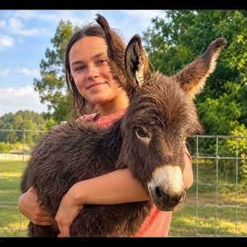 Tribute to Hee Haw 🐴💔 | Only One Year Old #Shorts