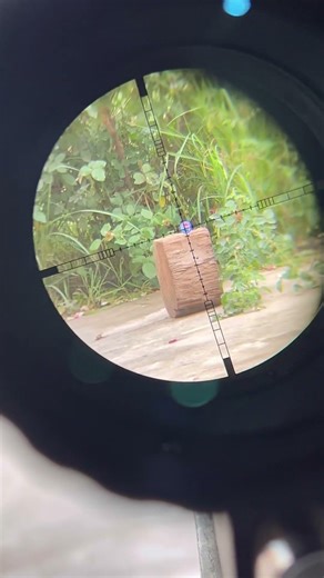 100 meters shooting with Pcp Air Gun