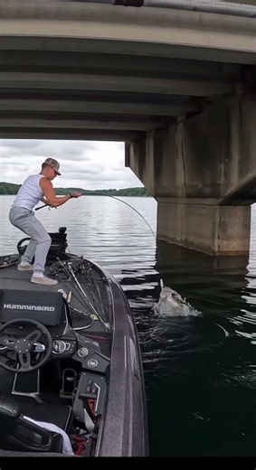 What do you think caused this? 👇 #fishing #shorts #fail OP @smity_194