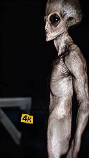Captured in 4K aliens #alien #paranormal #shocking