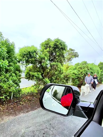 Hurricane Melissa has made landfall in Jamaica as a Category 5 hurricane - one of the most powerful hurricane landfalls on record in the Atlantic basin. #hurricane #jamaica #weather #news #abcnews