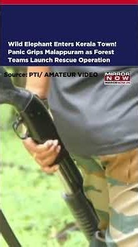 Wild Elephant Enters Kerala Town! Panic Grips Malappuram as Forest Teams Launch Rescue Operation