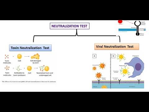 Neutralization test | Viral & Toxin Neutralization test | immunology | MLT | Microbiology