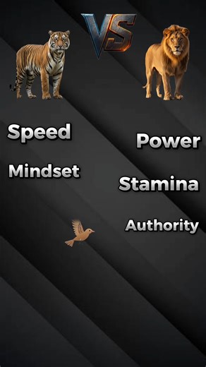 Lion vs Tiger 🦁🐯 | Power, Strength & Final Winner 🔥