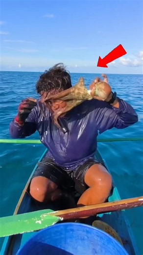 It is impossible to keep an octopus in captivity!