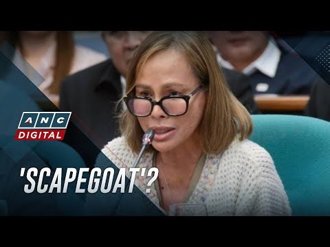 Cabral a 'scapegoat,' masterminds still not held to account, says her lawyer