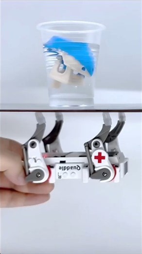 Quaddle Walks Upside Down on a Ceiling — Real Magnets, Open-Source Quadruped Robot