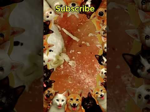 Blackheads Removal #205 | Acne Treatment and Very Satisfying Satisfying Pimple pop #blackheads