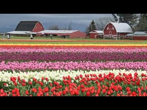 Planning to travel for a Spring Break Vacation across the U.S.