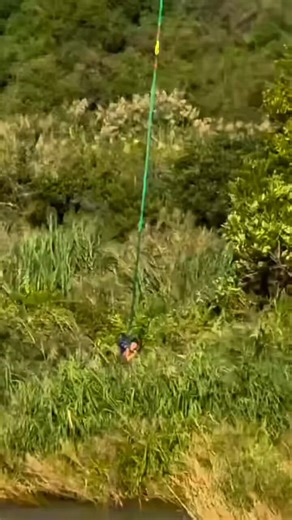 A video captures the dramatic moment a crocodile is hauled from the Komati River after human remains were found inside the reptile. https://t.co/vwosM1qBoJ📷: Supplied#crocodile #hauled #KomatiRiver #human #remains