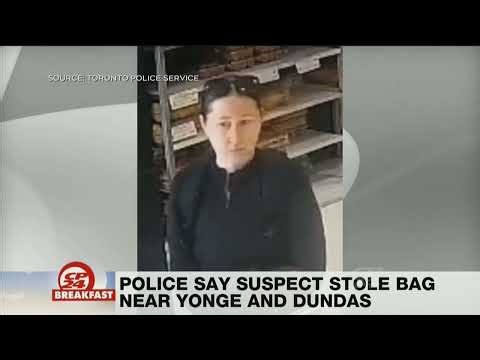 Police search for suspect in theft over $5,000 investigation