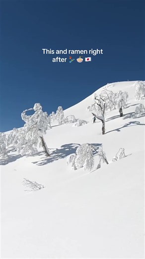 Niseko Ski Lessons & Backcountry Tours | First Time on the Snow?